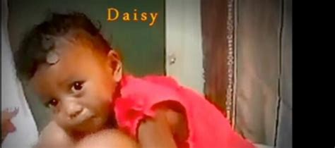 Daisy's Destruction .